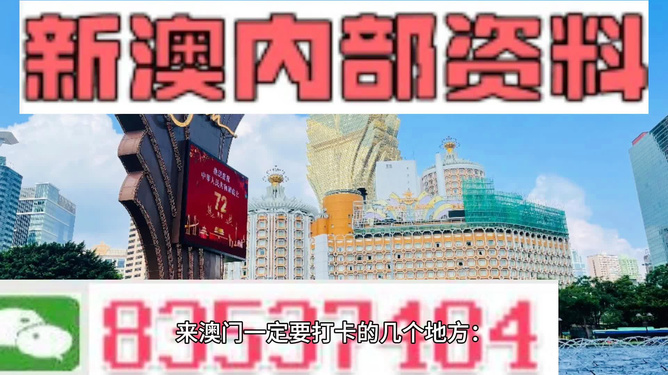 2024年王中王澳门免费大全,关于2024年王中王澳门免费大全的探讨与警示