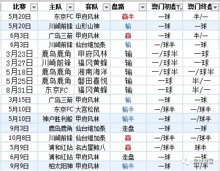 新澳内部资料精准一码波色表,新澳内部资料精准一码波色表，探索与解读