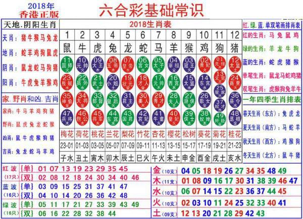 澳门正版资料大全资料生肖卡,澳门正版资料大全资料生肖卡，探索生肖文化的魅力与实用指南