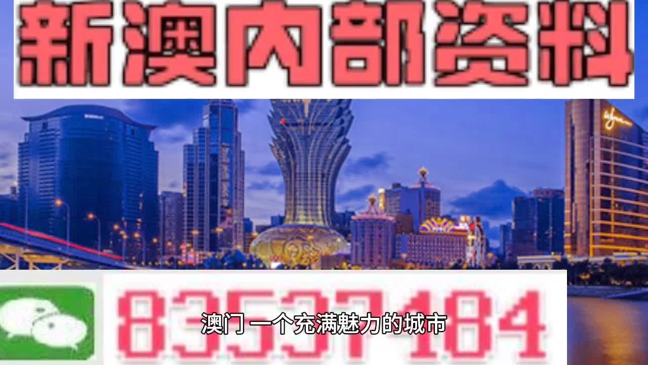 2024新澳门精准资料免费,探索新澳门，2024精准资料的免费之旅