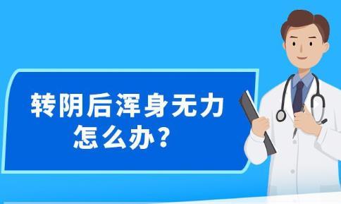 新澳精准资料免费提供403,新澳精准资料免费提供，深度探索与实际应用