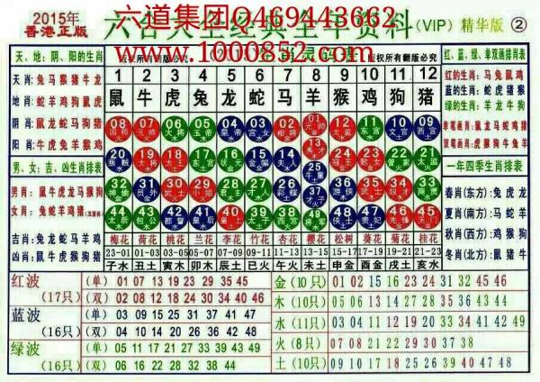 2024十二生肖49码表,揭秘2024十二生肖与数字彩票的奥秘，十二生肖49码表全解析