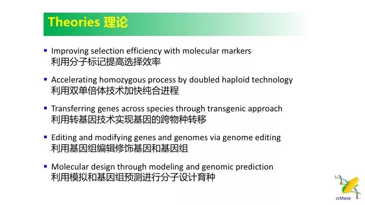 新澳资料免费长期公开,新澳资料免费长期公开，助力学术研究与知识普及的新篇章