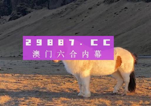 澳门马会7777788888,澳门马会，探索神秘数字7777与8888的魅力