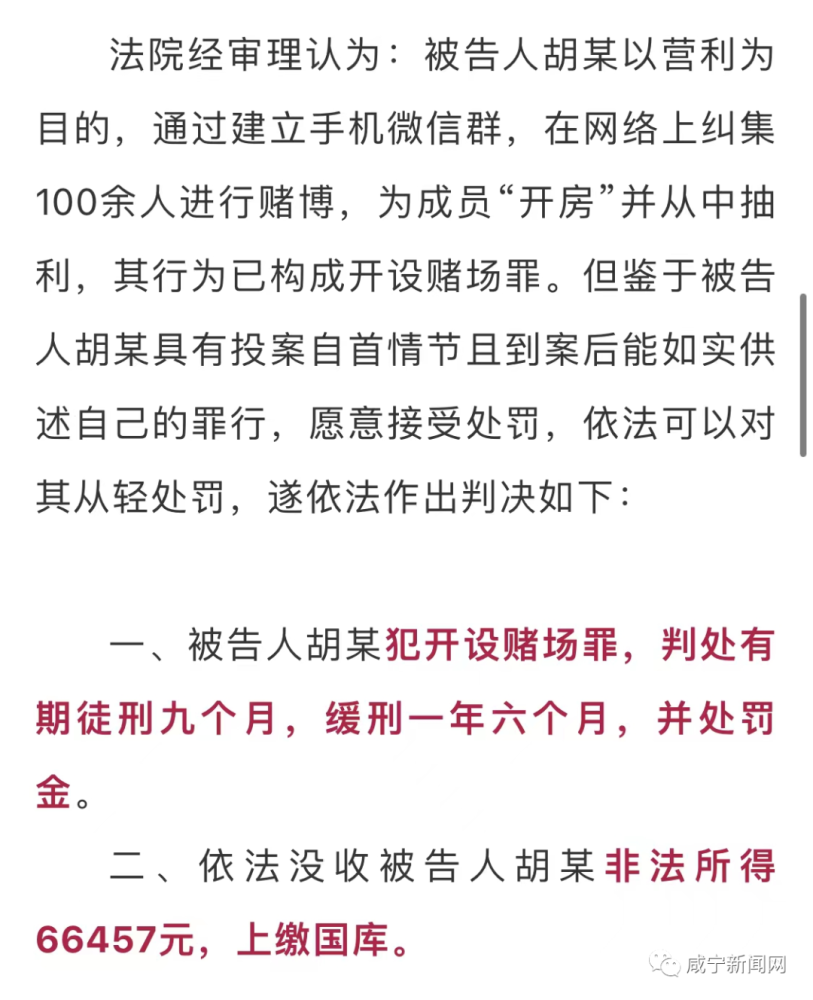 2025新澳门天天开好彩大全,新澳门天天开好彩背后的风险与挑战——警惕违法犯罪行为的重要性