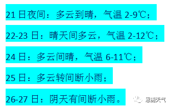 2025新澳资料免费精准051,探索未来，2025新澳资料免费精准051的奥秘